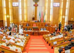 Senate  approves resolution asking FG to continue electricity subsidy